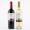 Amor De Chille Sauvignon Blanc